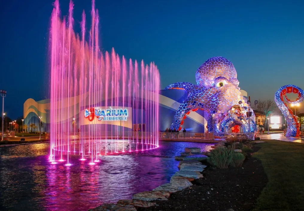 Things to do photo 1