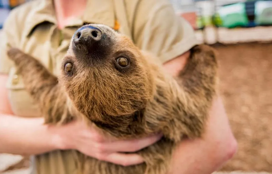 Things to do photo 4