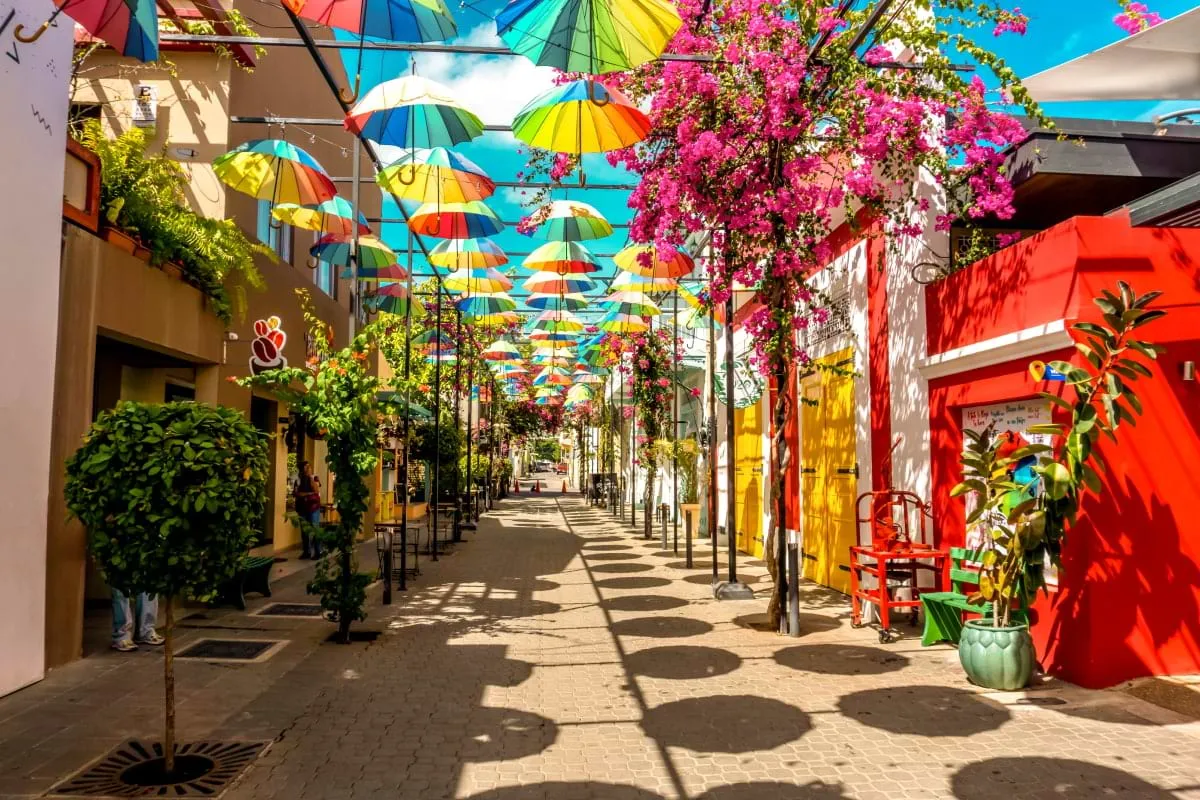 Things to do photo 1