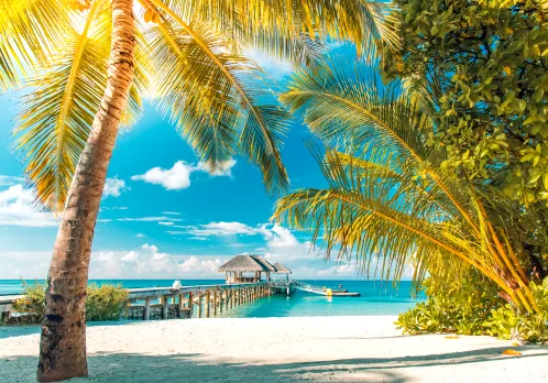 All-Inclusive Caribbean Paradise Resort Vacation